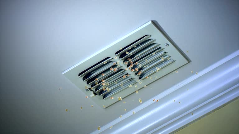 Best Dryer Vent Cleaning Services  in Greilickville, MI