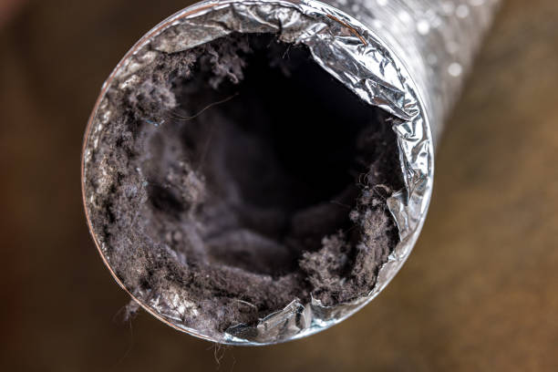 Best Local Air Duct Cleaning Services  in Greilickville, MI