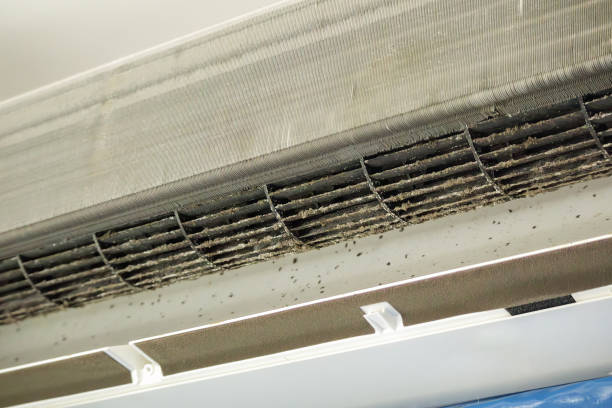 Best Ductwork Cleaning Services  in Greilickville, MI